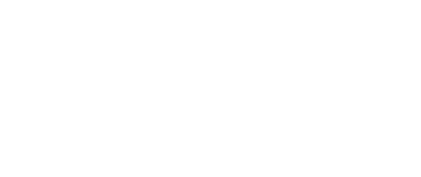 solo flowers and chocolate white logo