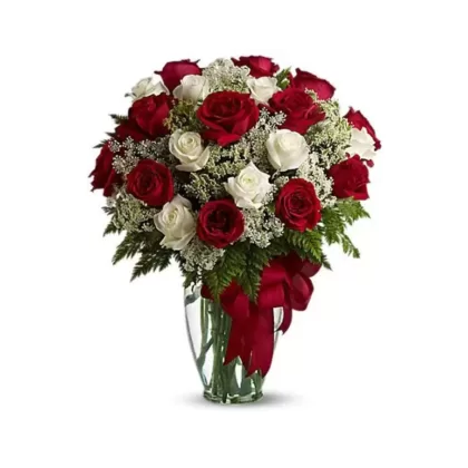 anniversary-red-&-white-rose