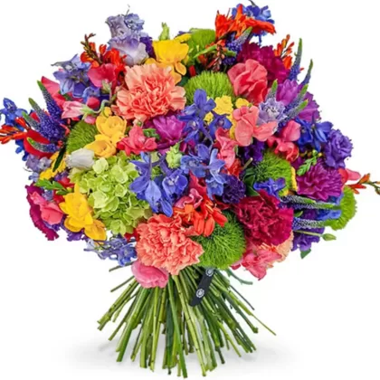 congratulation-#-mixied-colour-flower