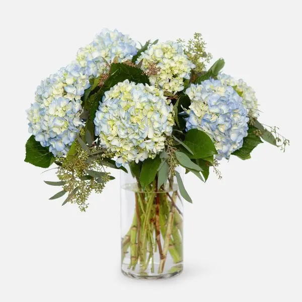 ps10772 blue hydrangea bouquet_vc