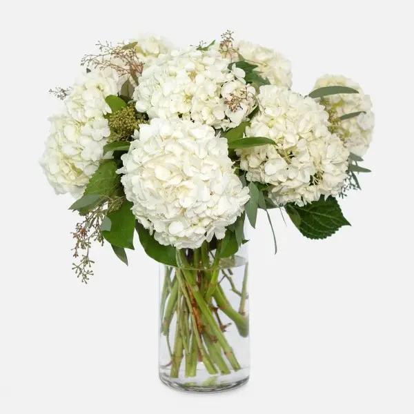 ps10773 white hydrangea bouquet_vc
