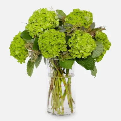 ps10775 emeraldgreen hydrangea bouquet_vc