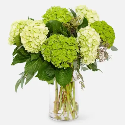 mixedgreen hydrangea bouquet