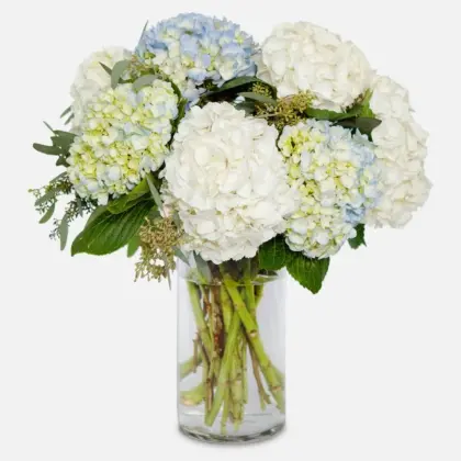 ps10777 mixedbluewhite hydrangea bouquet_vc
