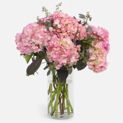 ps10798 pinktint hydrangea bouquet_v