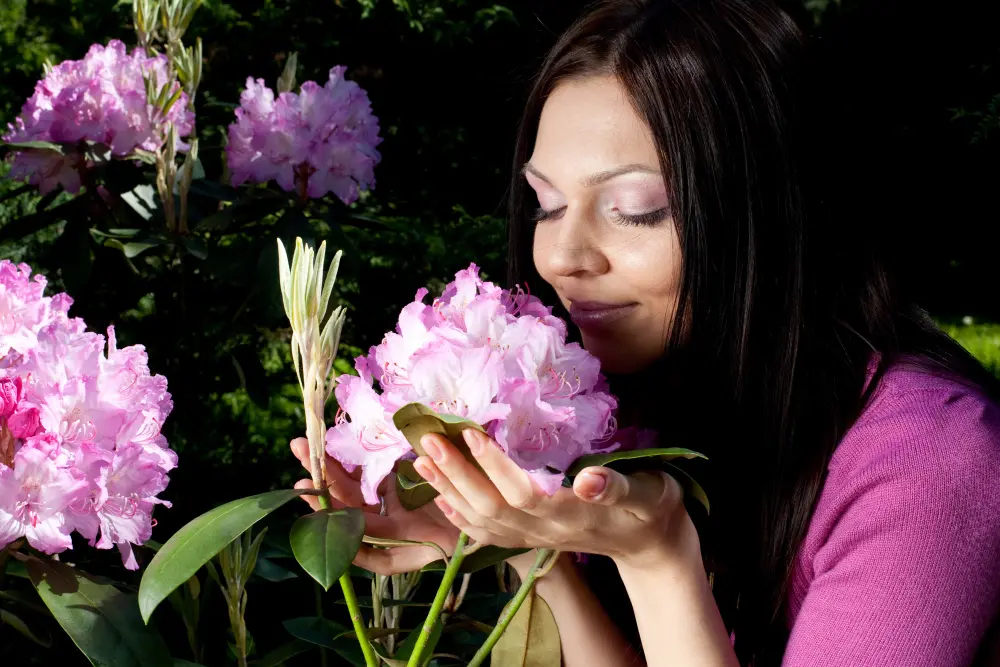 The Impact of Flower Fragrance on Emotional Well being