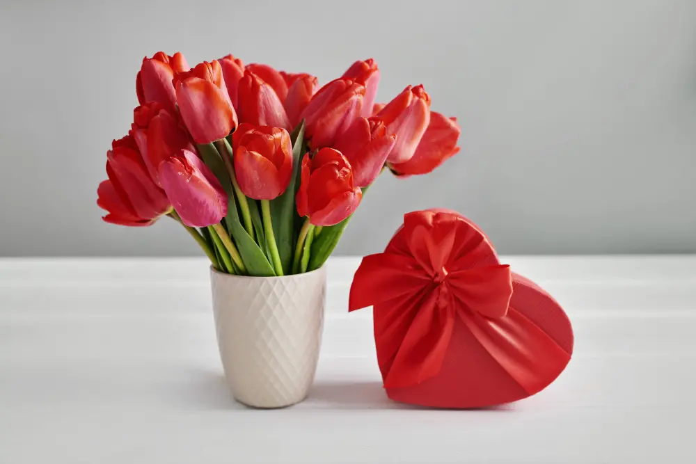 red tulip flower gift box isolated