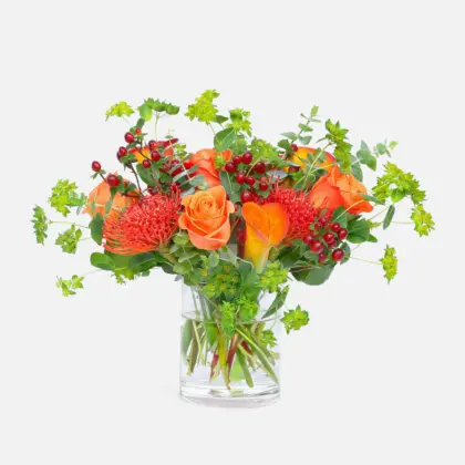 ps10721 orange blaze 23