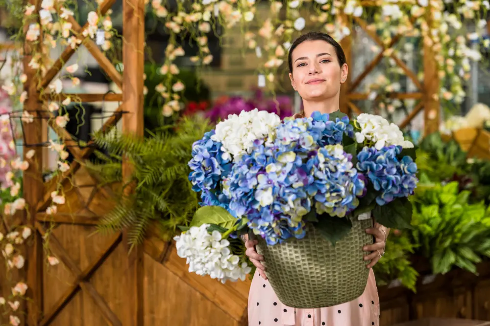 Hydrangeas