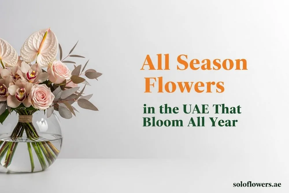 all season flowers