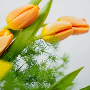 seasonal flowers in UAE