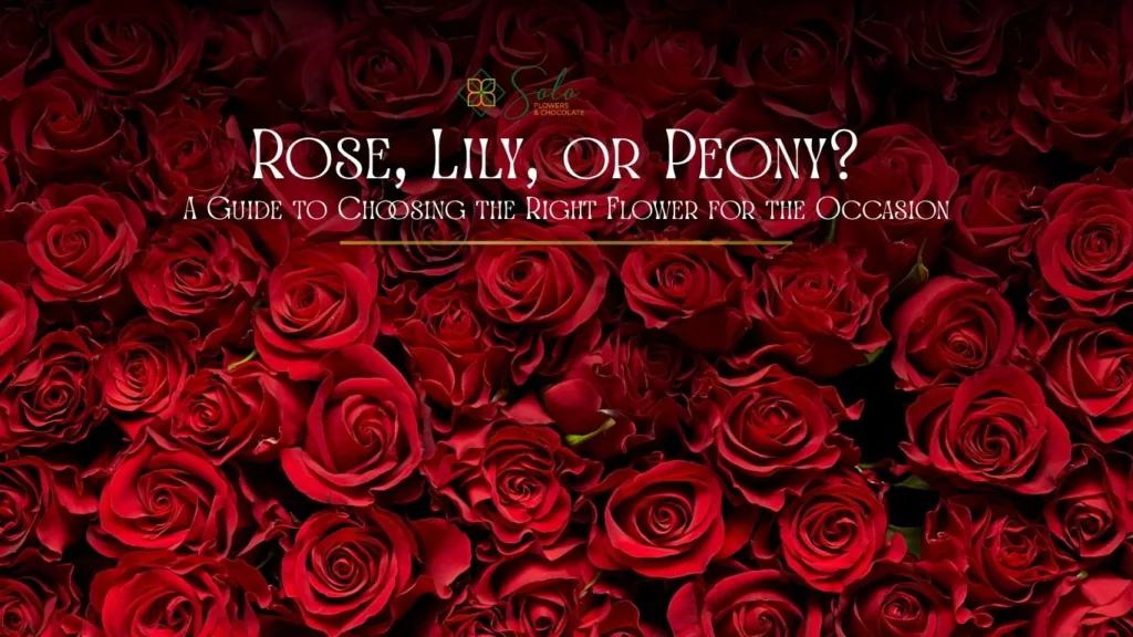 which-flowers-to-choose-for-occasion